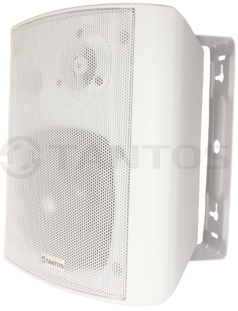 Громкоговоритель TSo-SW15k