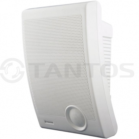 Громкоговоритель TSo-SW10a